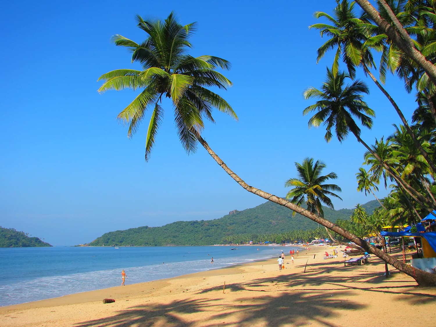 Hidden Beaches of Goa: Where the Coast Feels Quiet, Wild, and Beautiful